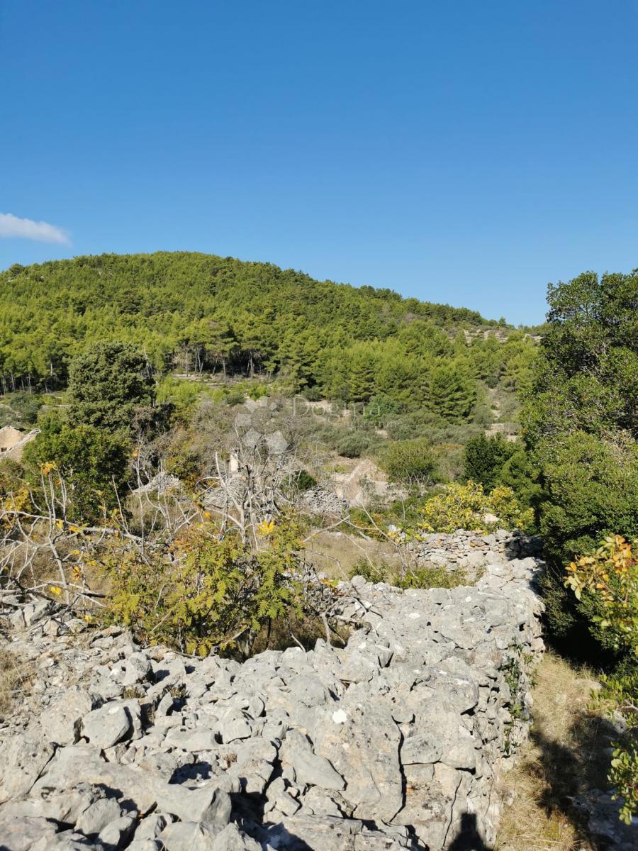 Kmetijsko zemljišče Potirna, Blato, 8.000m2