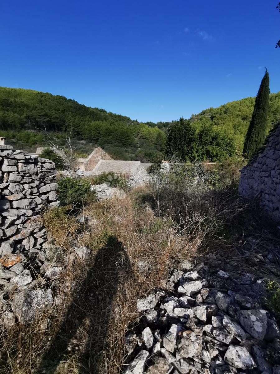 Kmetijsko zemljišče Potirna, Blato, 8.000m2