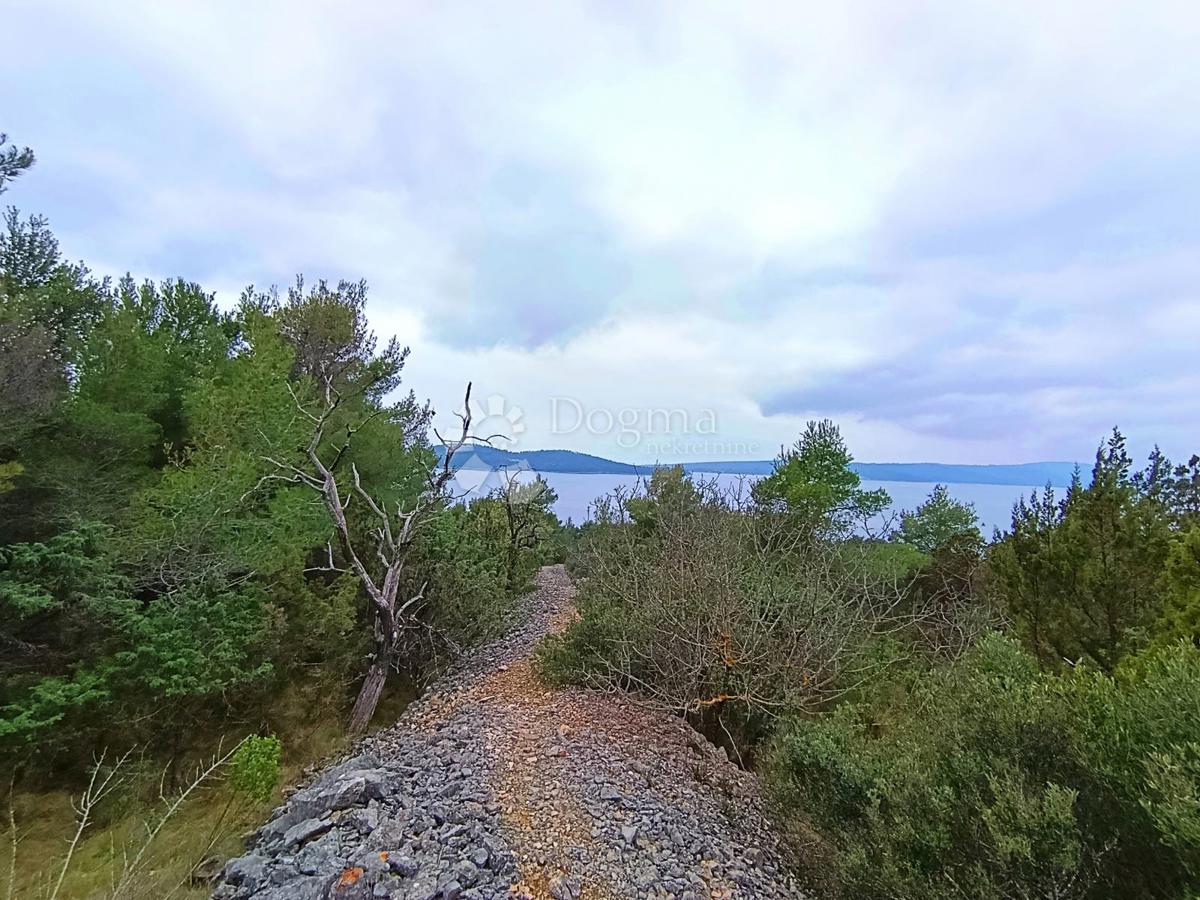 Kmetijsko zemljišče Milna, 3.837m2