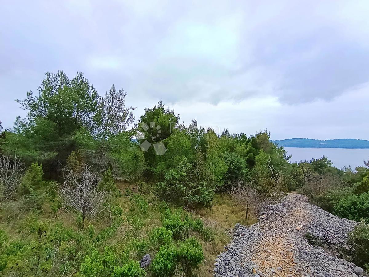 Kmetijsko zemljišče Milna, 3.837m2