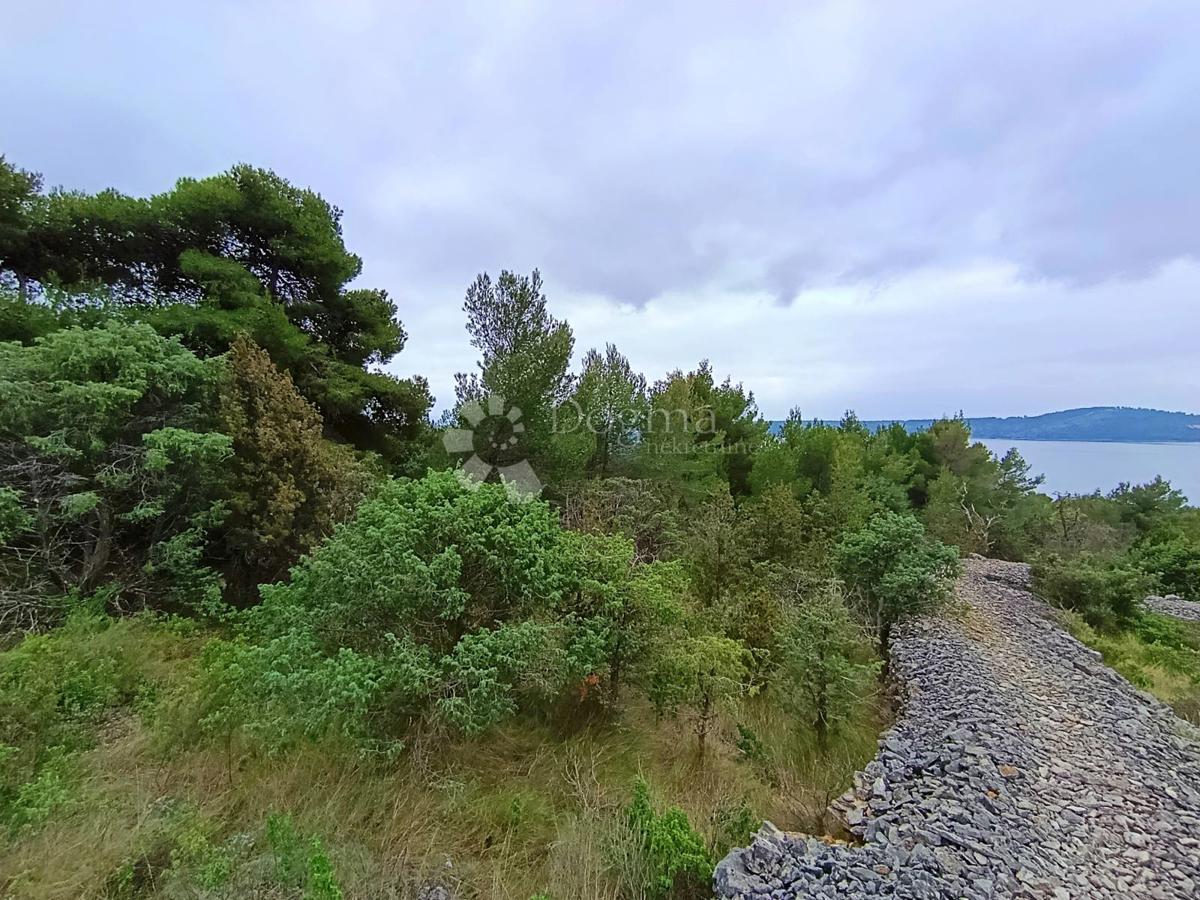 Kmetijsko zemljišče Milna, 3.837m2