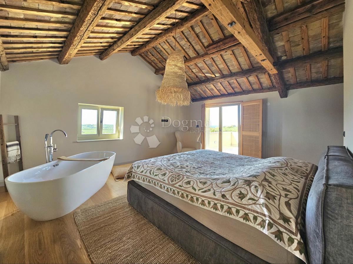 Eleganca, brutalizem in istrska arhitektura s panoramskim razgledom