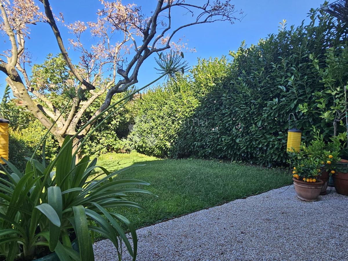 Eleganca, brutalizem in istrska arhitektura s panoramskim razgledom