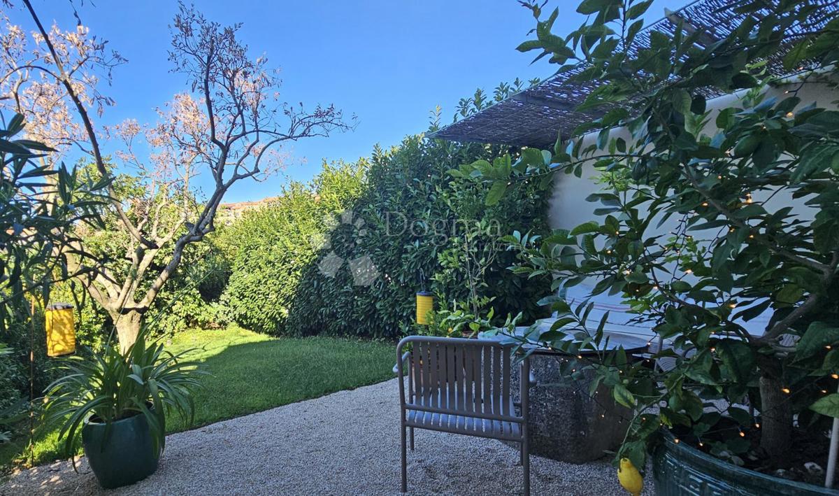 Eleganca, brutalizem in istrska arhitektura s panoramskim razgledom