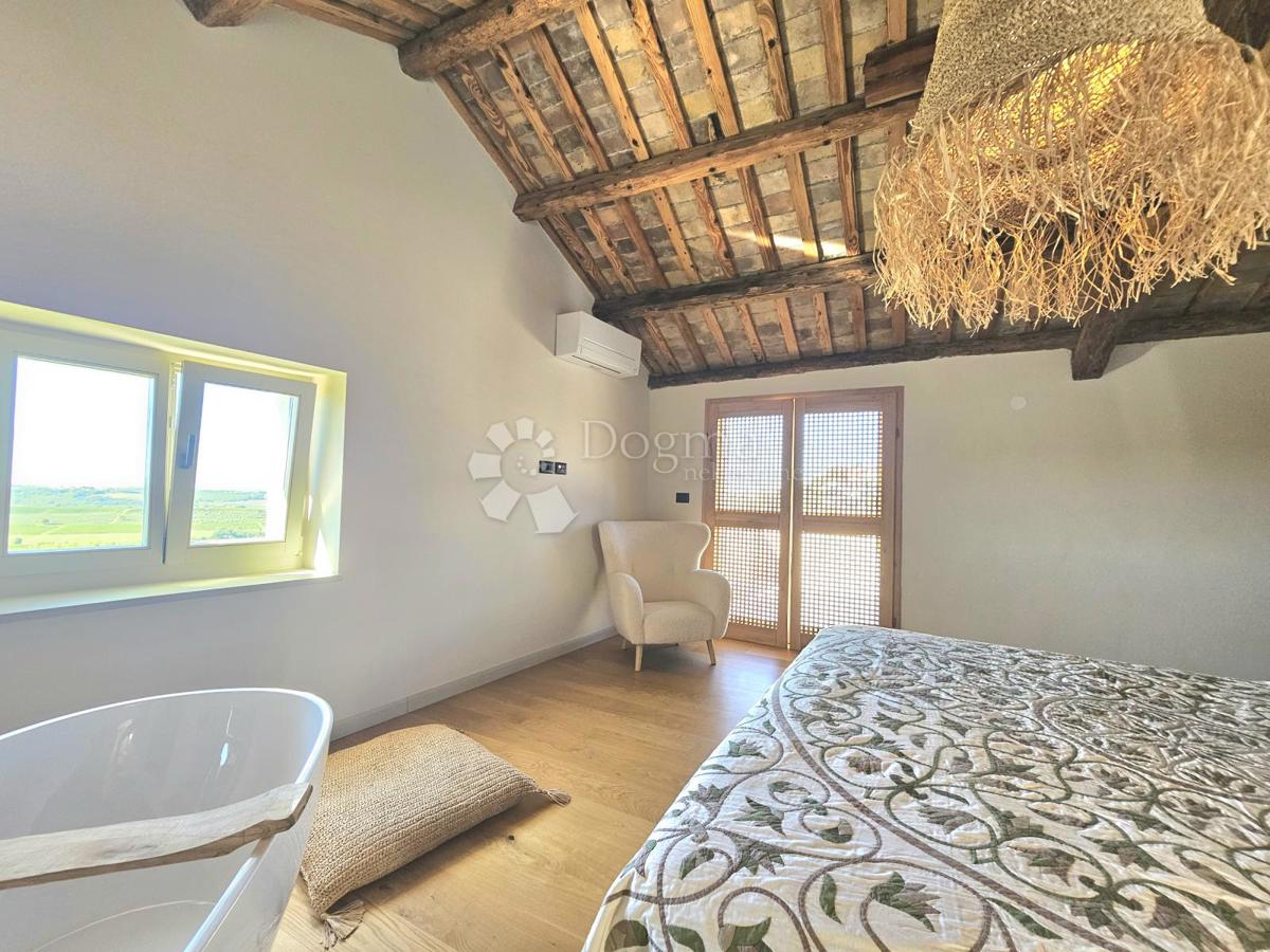 Eleganca, brutalizem in istrska arhitektura s panoramskim razgledom