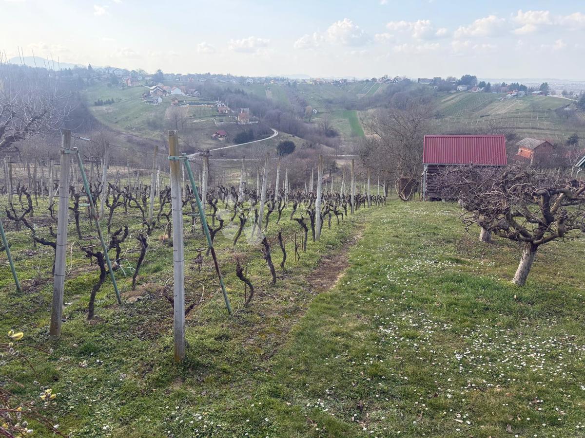 Hiša Seketin, Sveti Ilija, 50m2