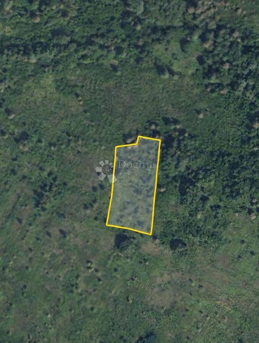 Kmetijsko zemljišče Bojna, Glina, 6.981m2