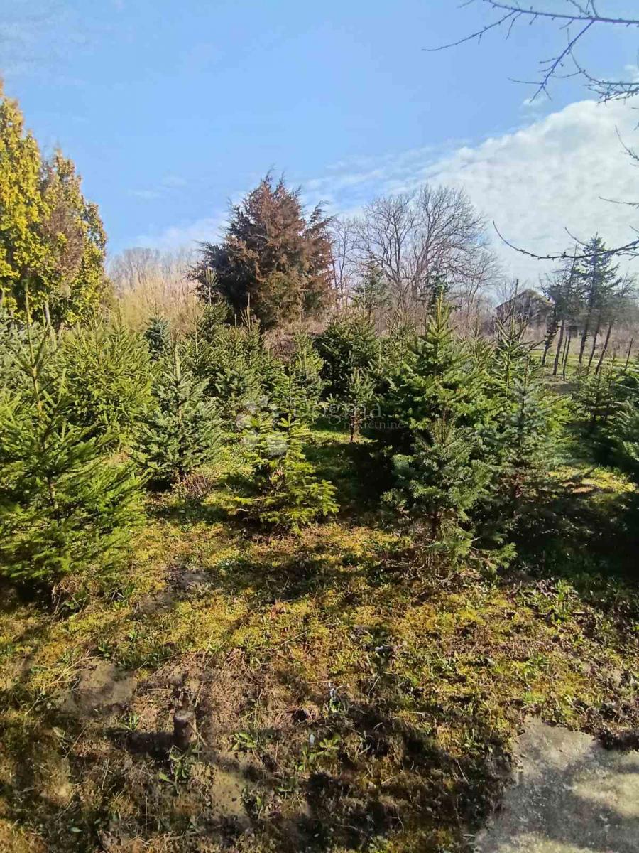 Hiša Kapinci, Sopje, 170m2