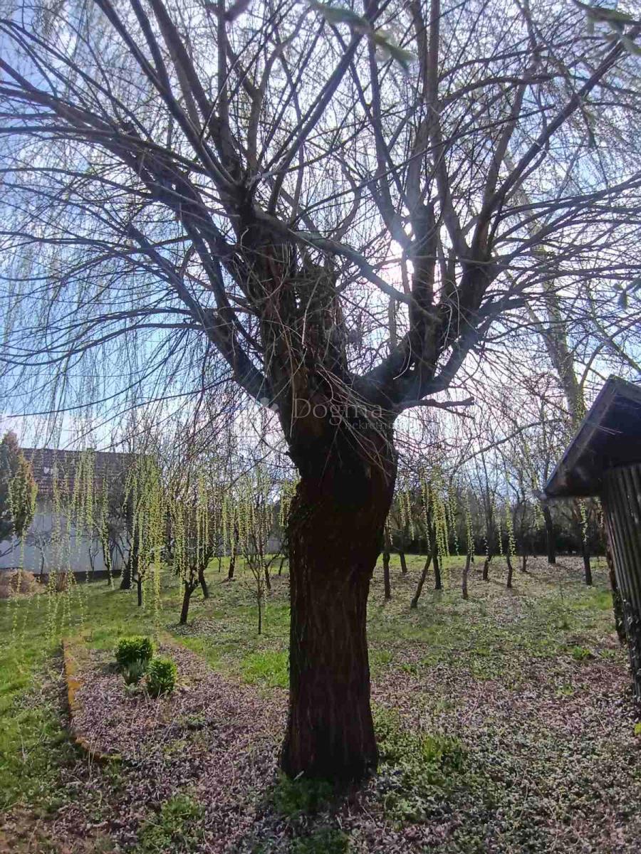 Hiša Kapinci, Sopje, 170m2