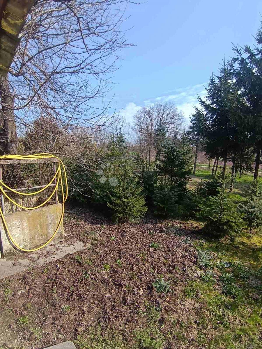 Hiša Kapinci, Sopje, 170m2