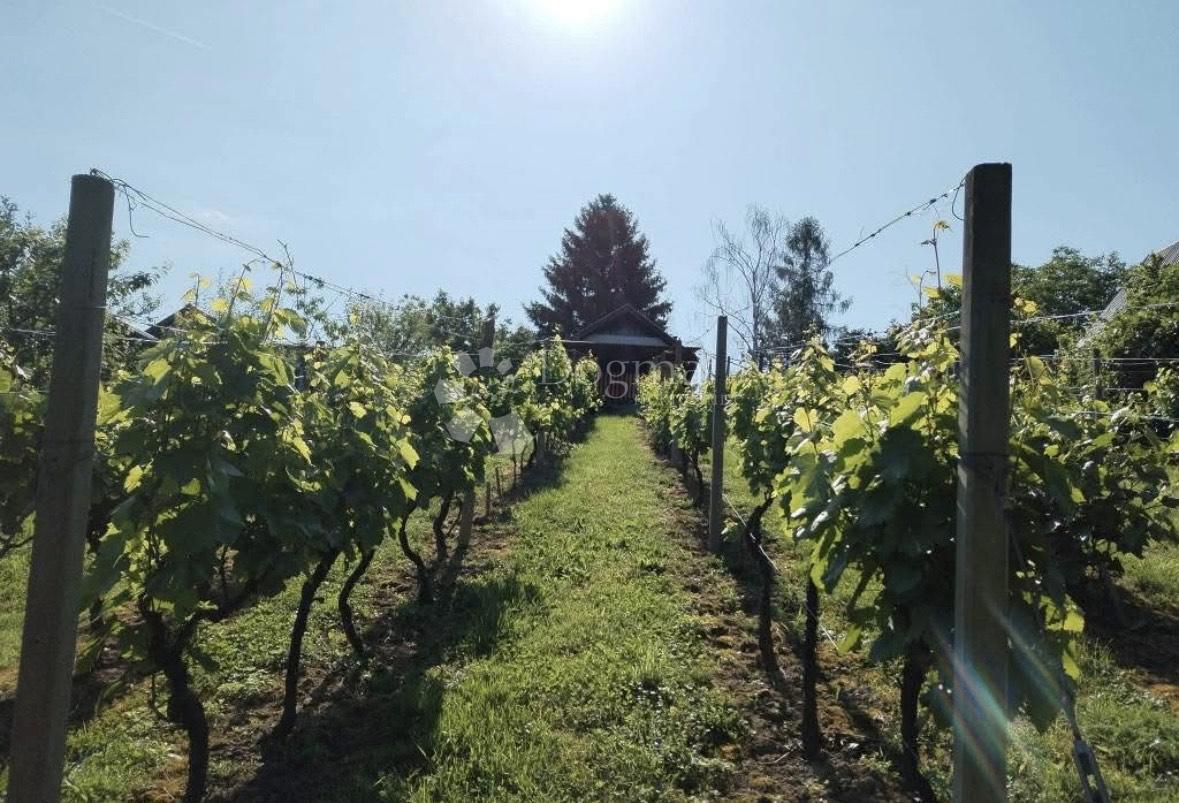 Hiša Feričanci, 22m2