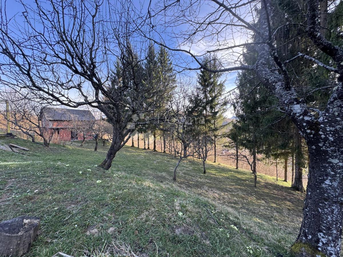 Hiša Hajdine, Vrbovsko, 294m2