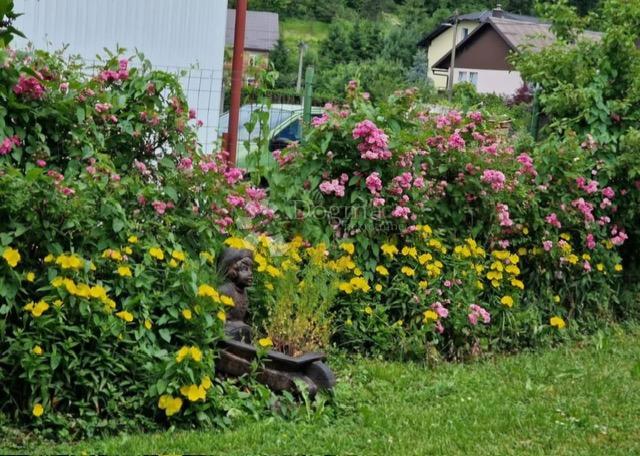 Apartma Delnice, 140m2