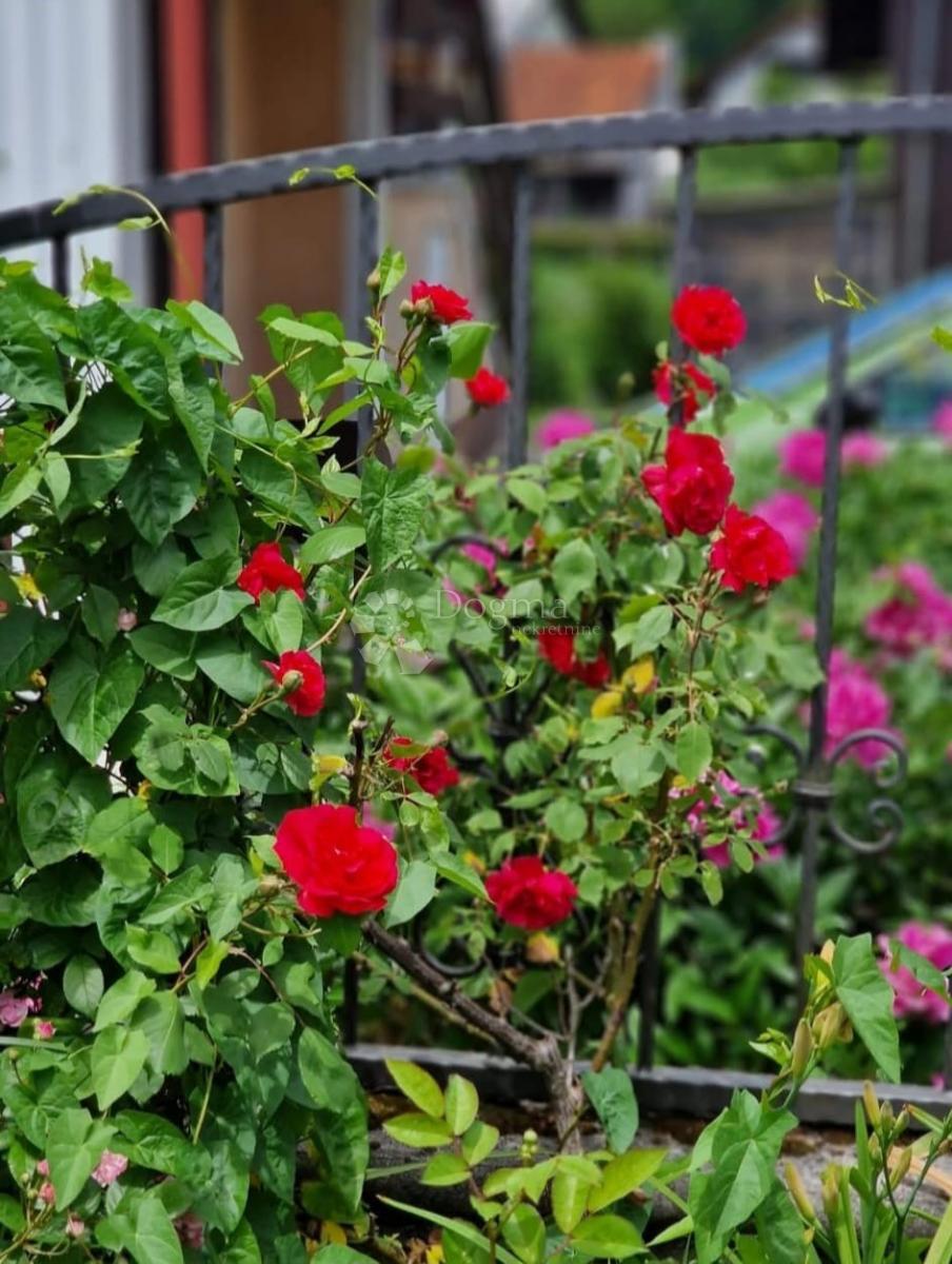 Apartma Delnice, 140m2