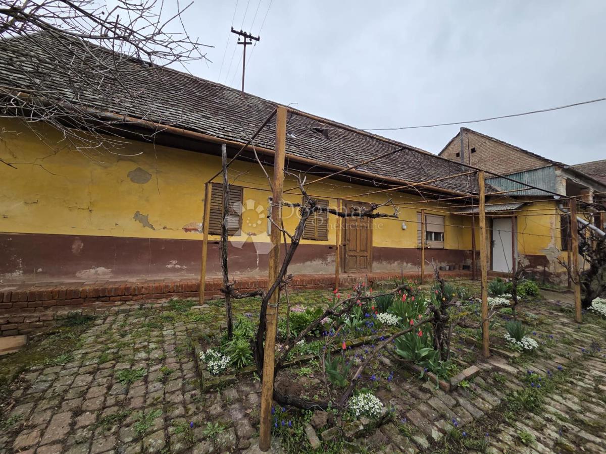 Hiša Beli Manastir, 316m2