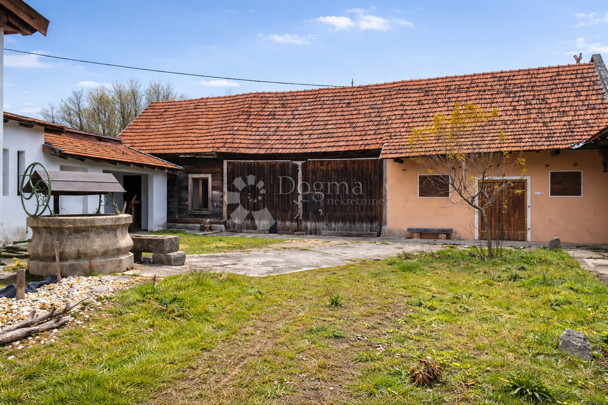 Hiša Cerina, Čazma, Gornji dragičevci , 200m2