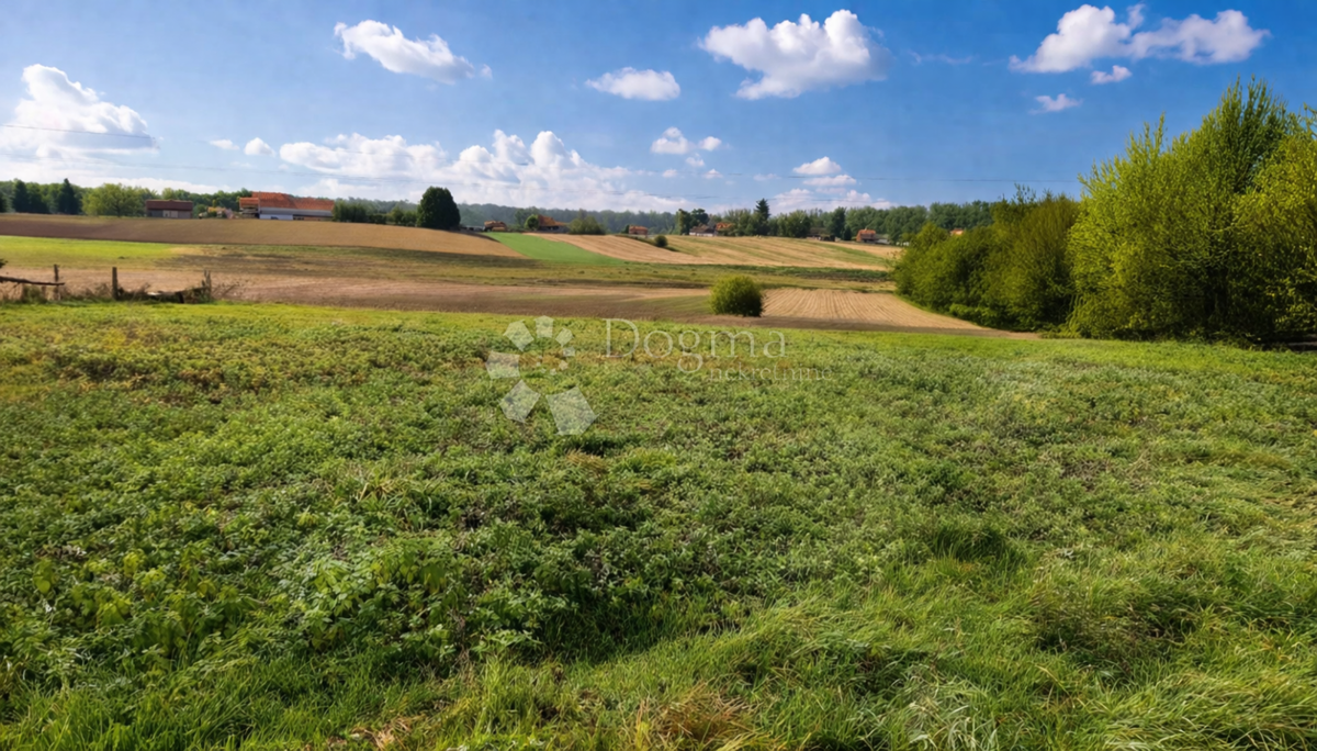 Hiša Cerina, Čazma, Gornji dragičevci , 200m2