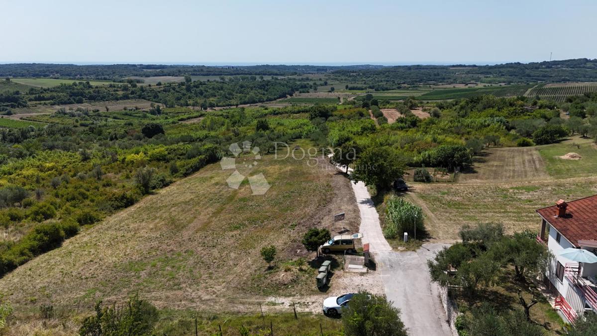 Zazidljivo zemljišče Buje, 1,03m2