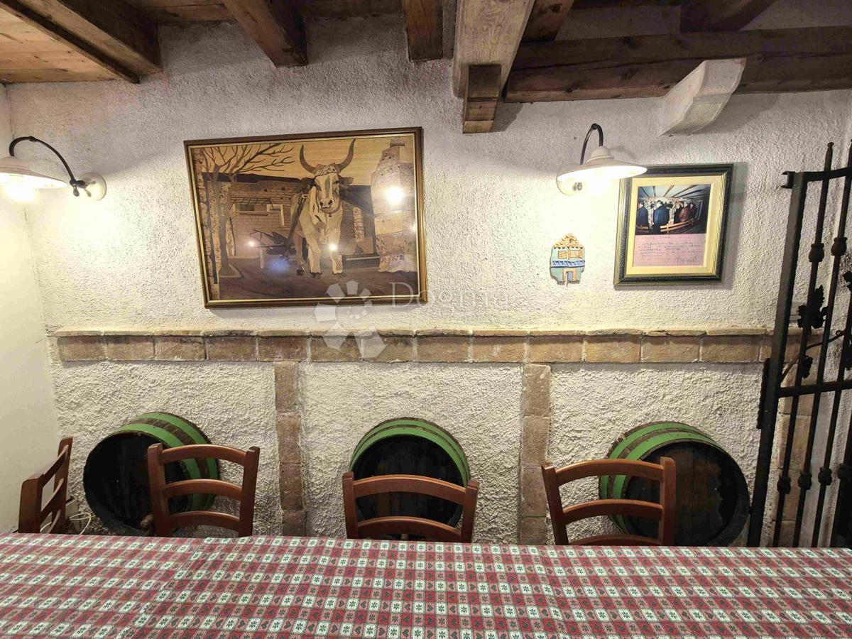 Hiša Martinski, Sveta Nedelja, 525m2