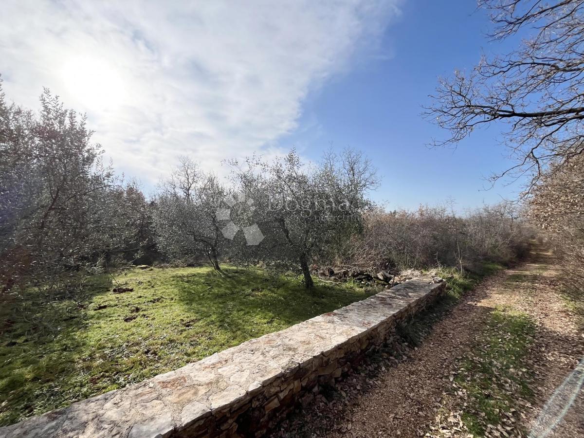 Zazidljivo zemljišče Umag, Umag, Umag, Istarska županija, 1.530m2