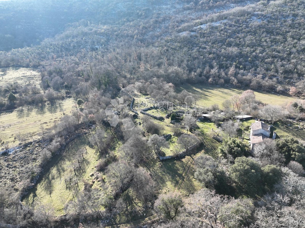 Zemljišče Crni, Raša, 111.000m2