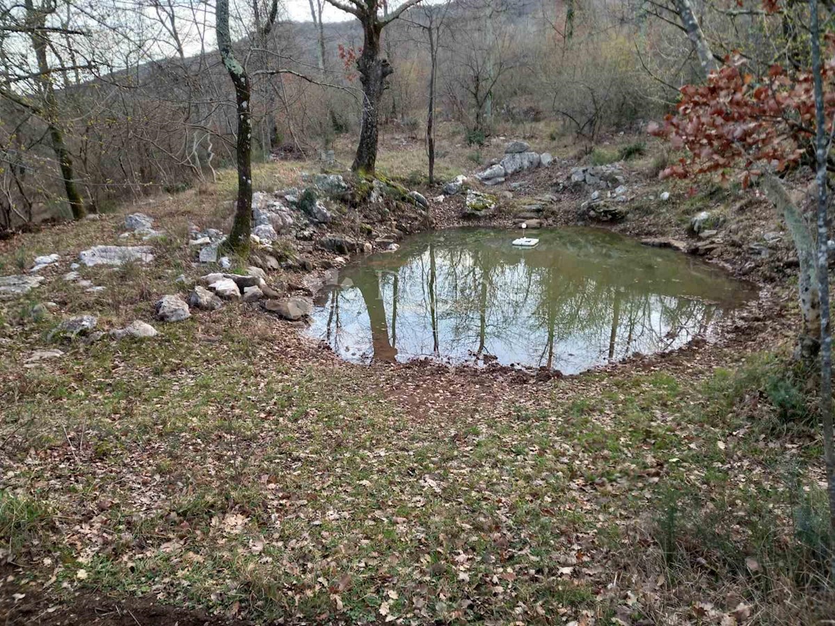 Zemljišče Crni, Raša, 111.000m2