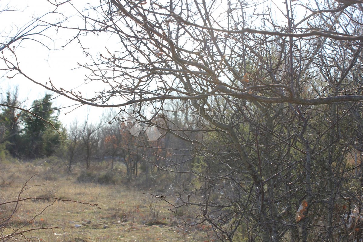 Zemljišče Gajana, Vodnjan, 11.473m2