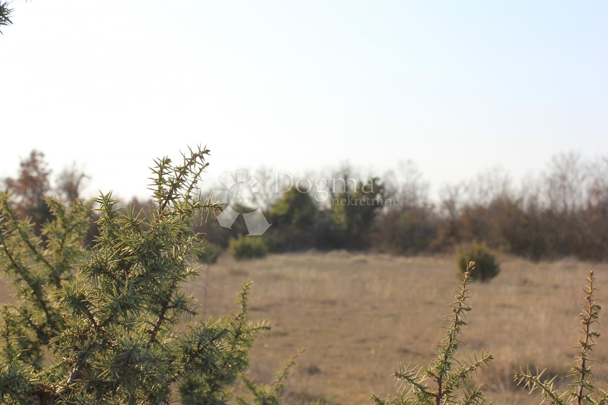 Zemljišče Gajana, Vodnjan, 11.473m2