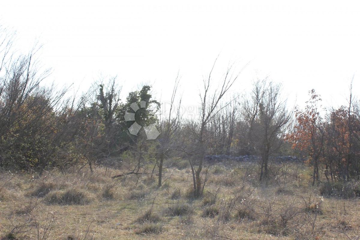 Zemljišče Gajana, Vodnjan, 11.473m2