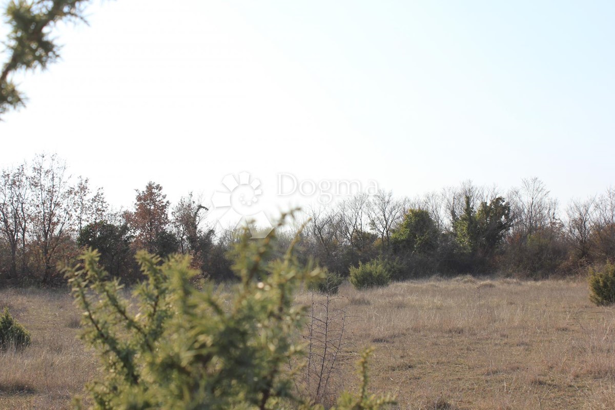 Zemljišče Gajana, Vodnjan, 11.473m2
