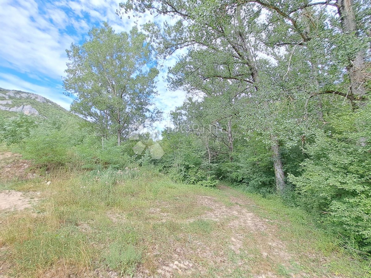 Zemljišče Sovinjak, Buzet, 1.002m2