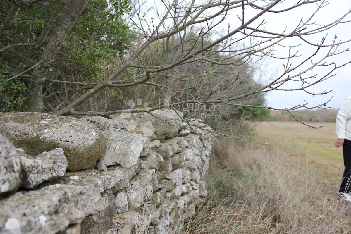 Zemljišče Barbariga, Vodnjan, 4.527m2