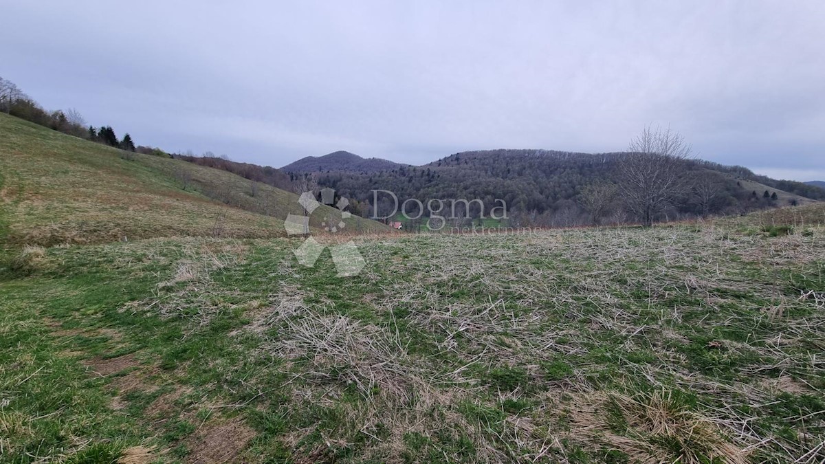 Zemljišče Begovo Razdolje, Mrkopalj, 3.023m2