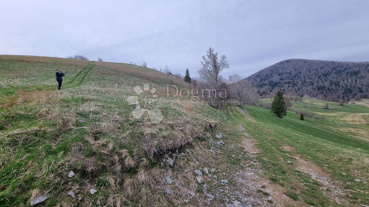 Zemljišče Begovo Razdolje, Mrkopalj, 3.023m2