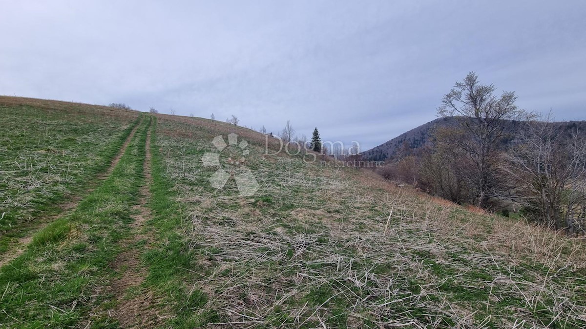 Zemljišče Begovo Razdolje, Mrkopalj, 3.023m2