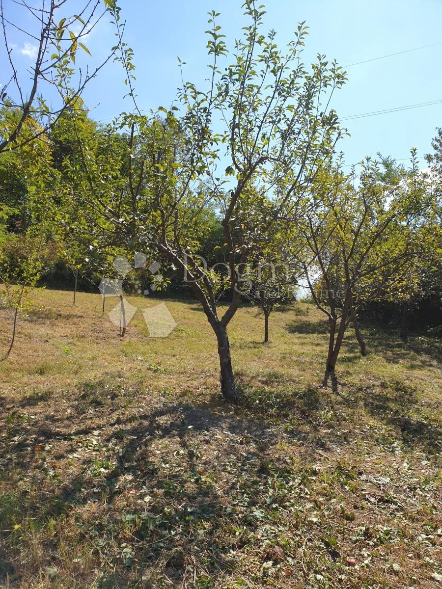 Zemljišče Črešnjevec, Tuhelj, 712m2