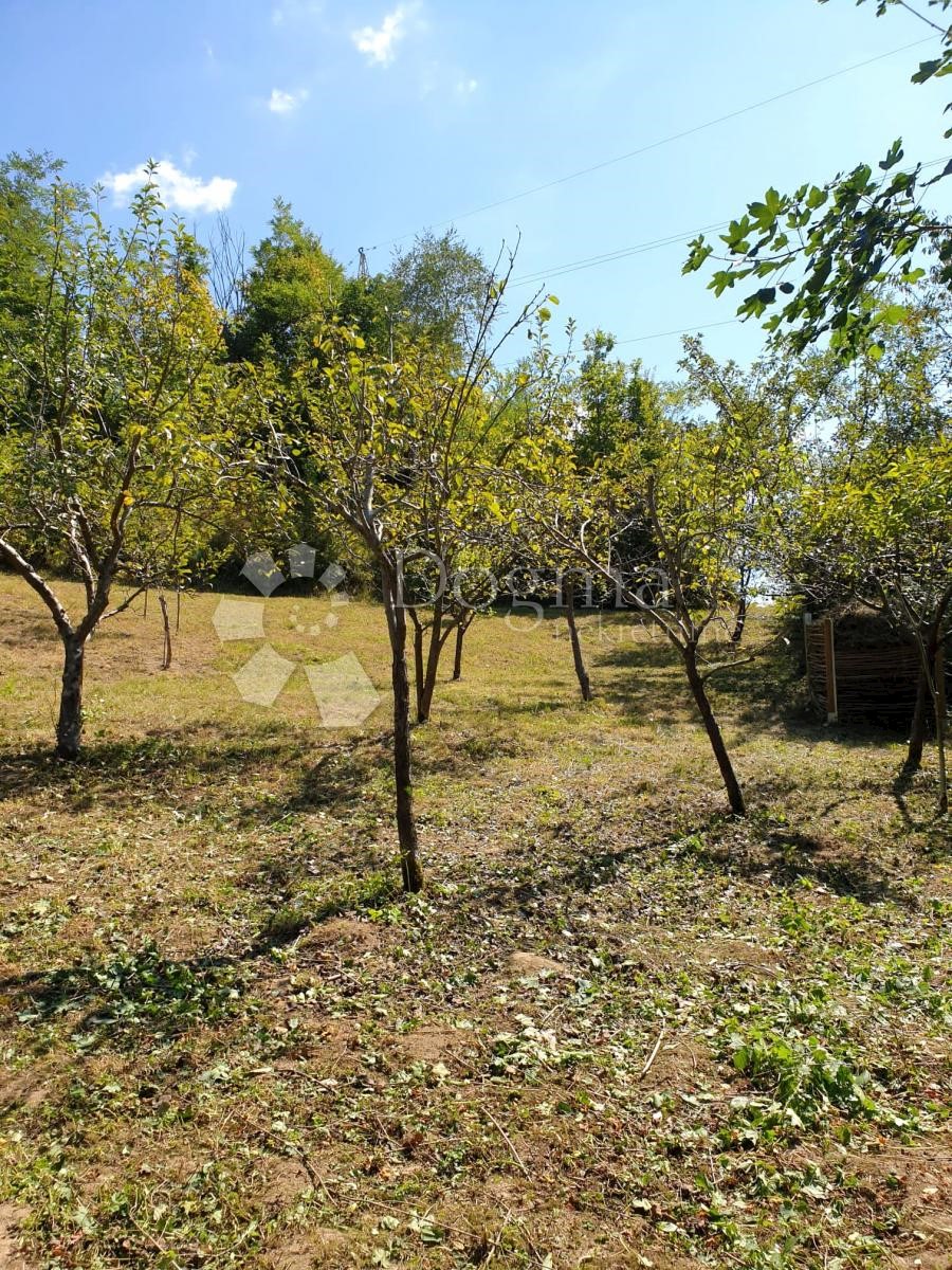 Zemljišče Črešnjevec, Tuhelj, 712m2