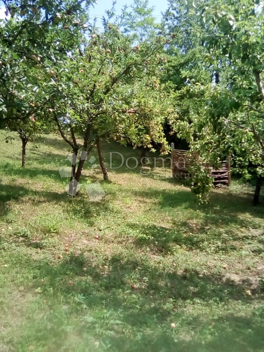 Zemljišče Črešnjevec, Tuhelj, 712m2