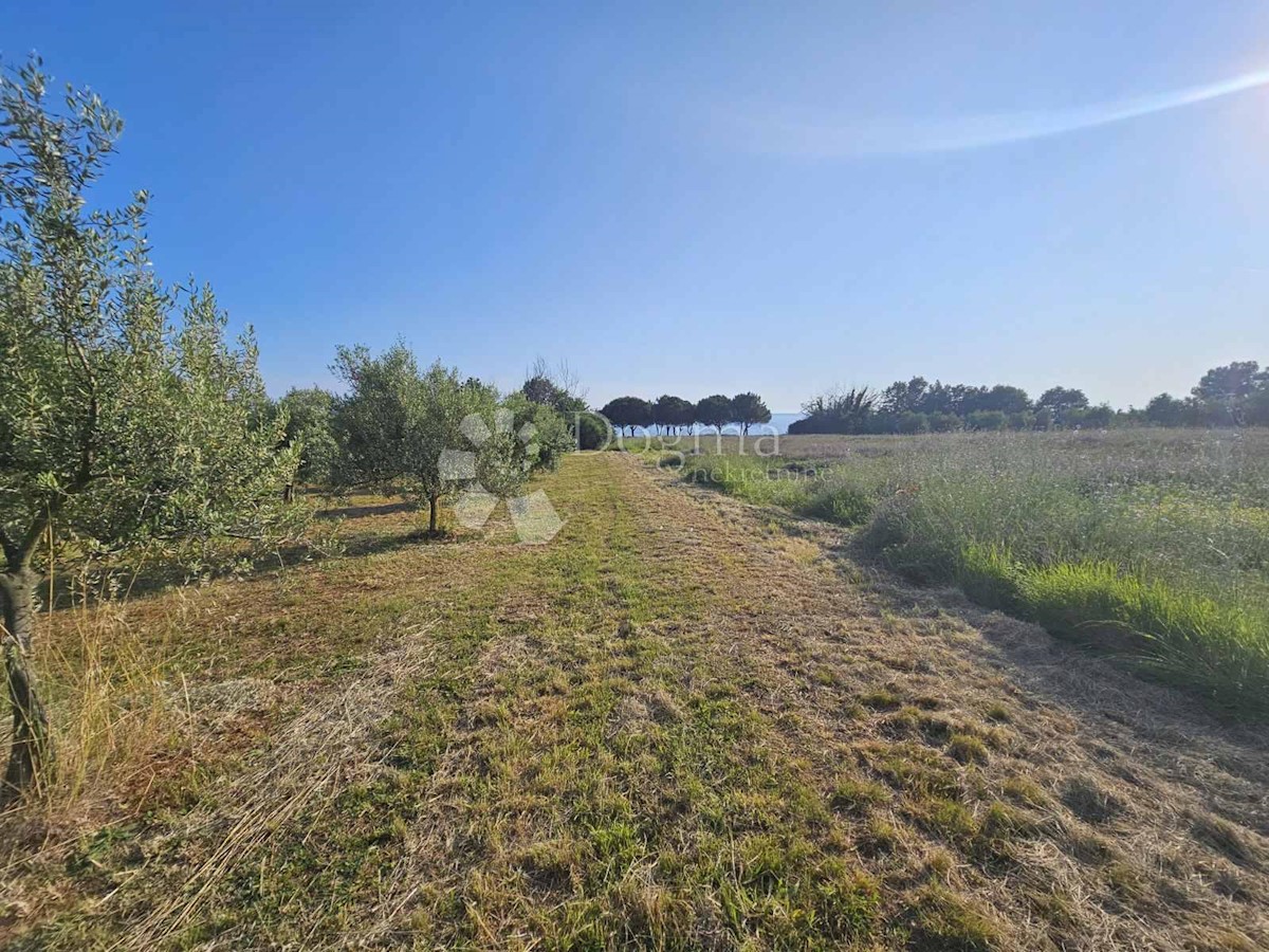 Zemljišče Umag, 8.400m2