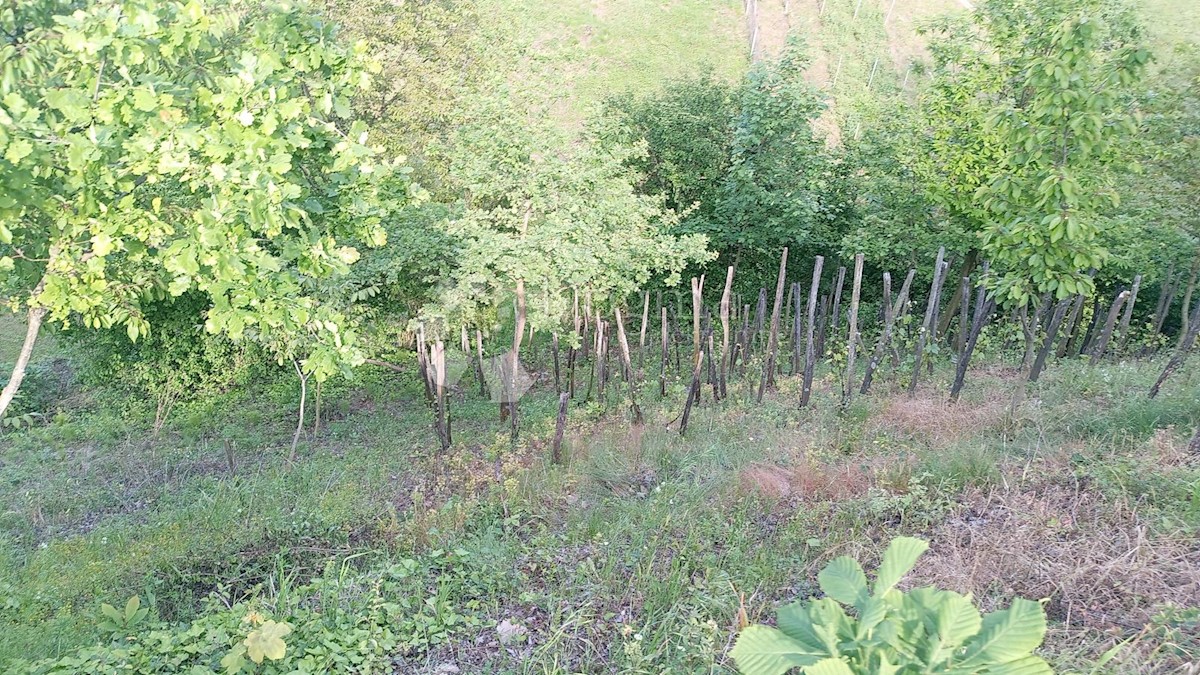 Zemljišče Vinogradi Ludbreški, Ludbreg, 5.490m2