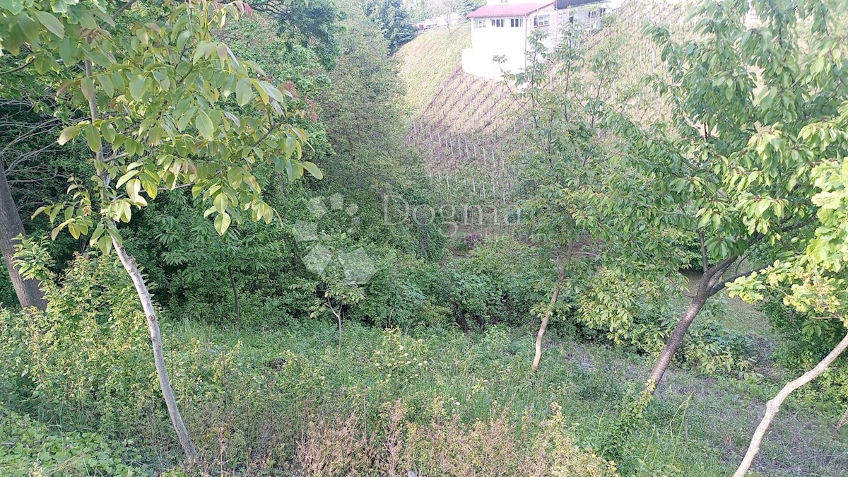 Zemljišče Vinogradi Ludbreški, Ludbreg, 5.490m2