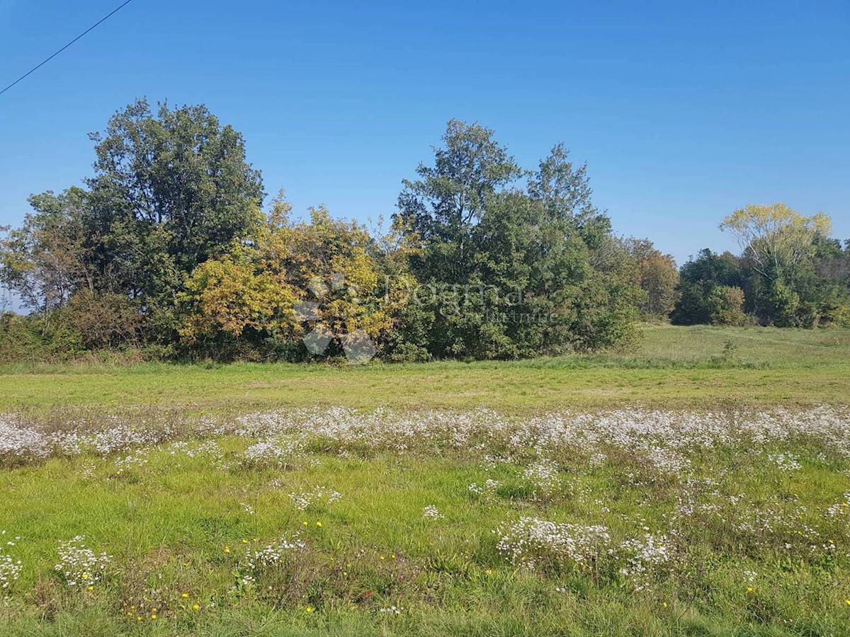 Zemljišče Nedešćina, Sveta Nedelja, 25.000m2