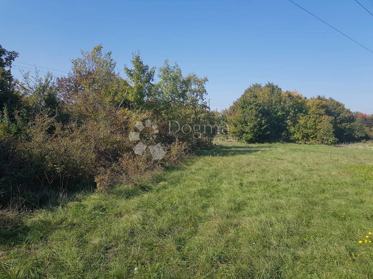 Zemljišče Nedešćina, Sveta Nedelja, 25.000m2