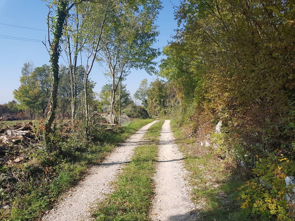 Zemljišče Nedešćina, Sveta Nedelja, 25.000m2