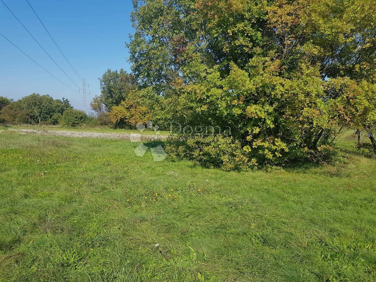 Zemljišče Nedešćina, Sveta Nedelja, 25.000m2