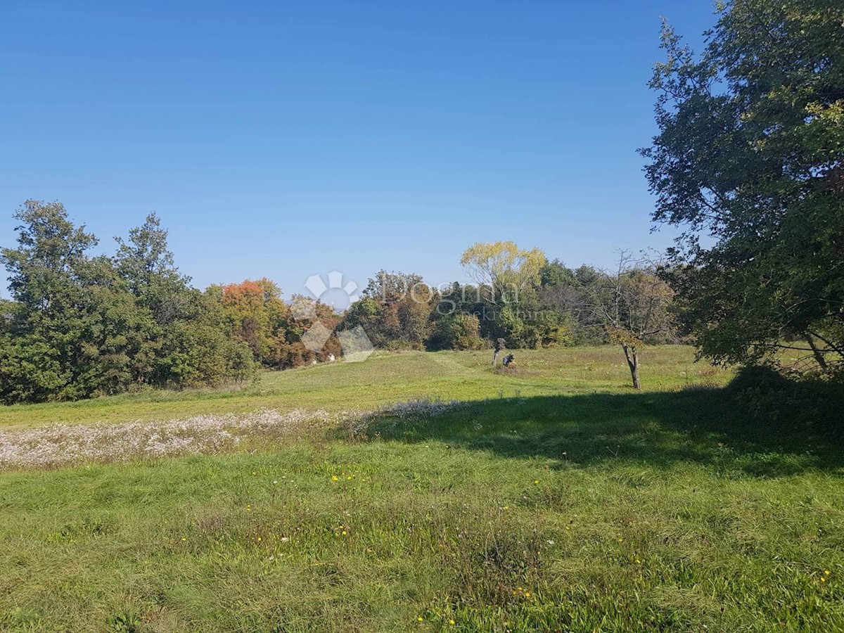 Zemljišče Nedešćina, Sveta Nedelja, 25.000m2