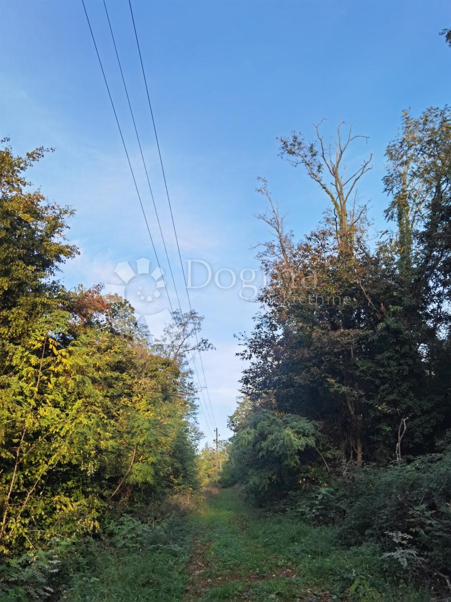 Zemljišče Vižinada, 1.047m2