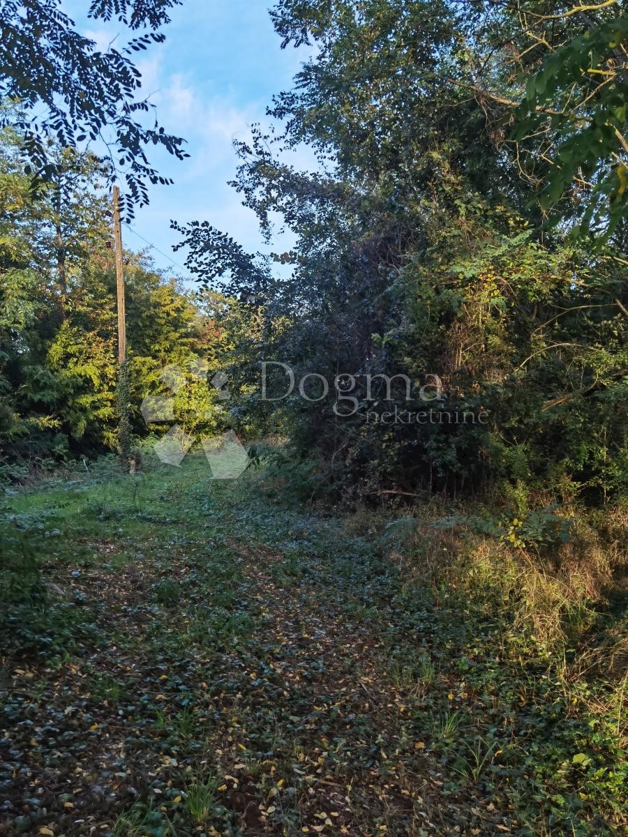 Zemljišče Vižinada, 1.047m2