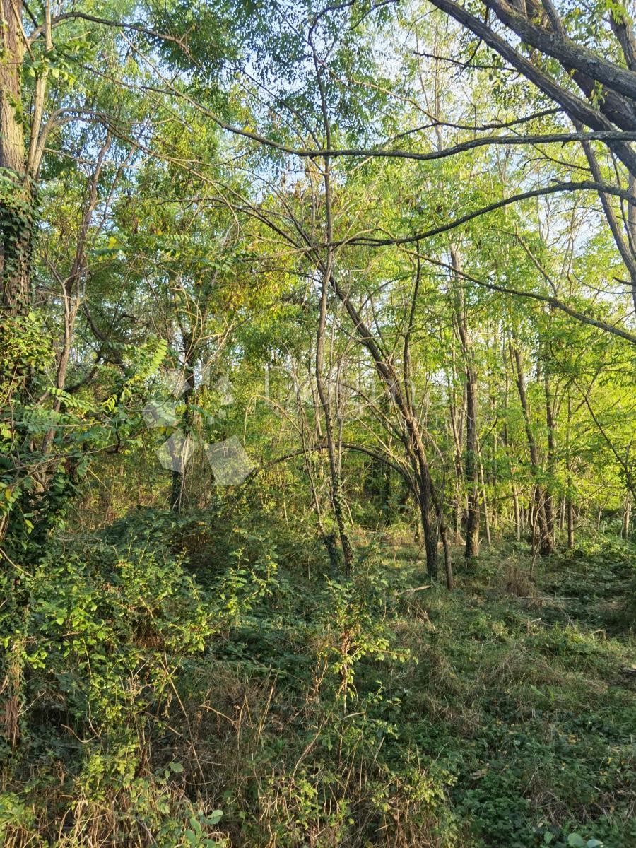 Zemljišče Vižinada, 1.047m2