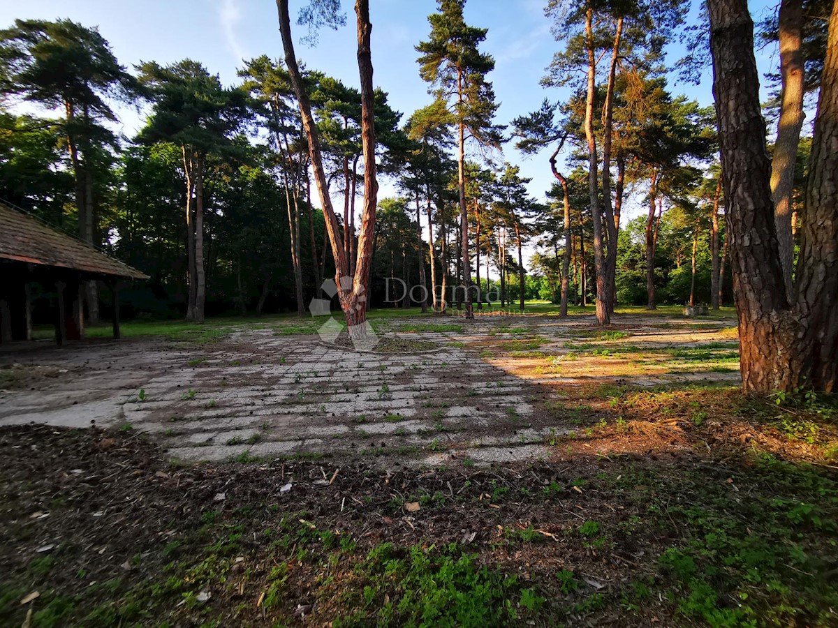 Zemljišče Mačkovec, Čakovec - Okolica, 55,37m2